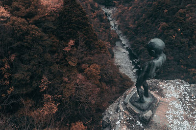 Statue on rock by trees