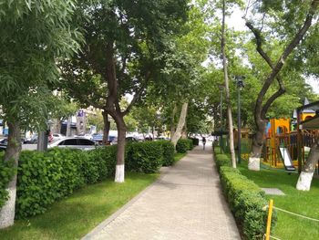 Footpath amidst trees in park