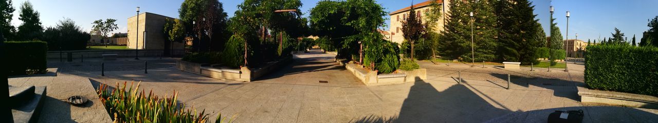 Panoramic view of trees against clear sky