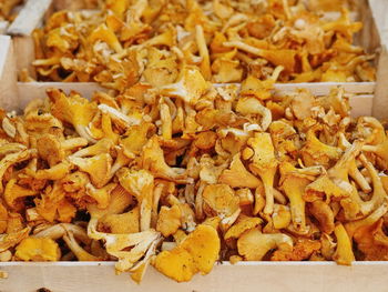 High angle view of chanterelles for sale at market stall