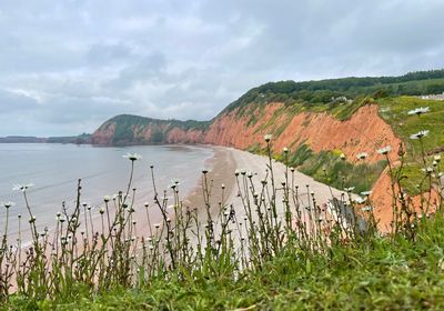 Coast cliffs and sea