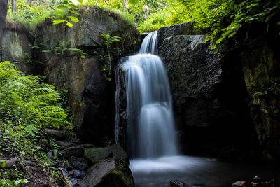 View of waterfall in forest