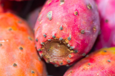 Close-up of fruits for sale in market