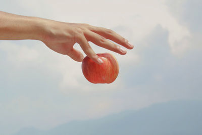 Cropped hand holding apple against sky