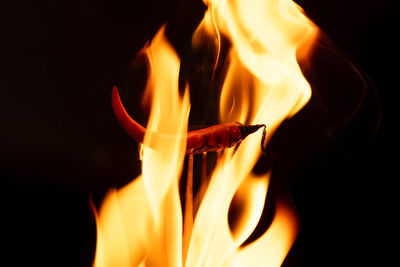 Close-up of fire at night