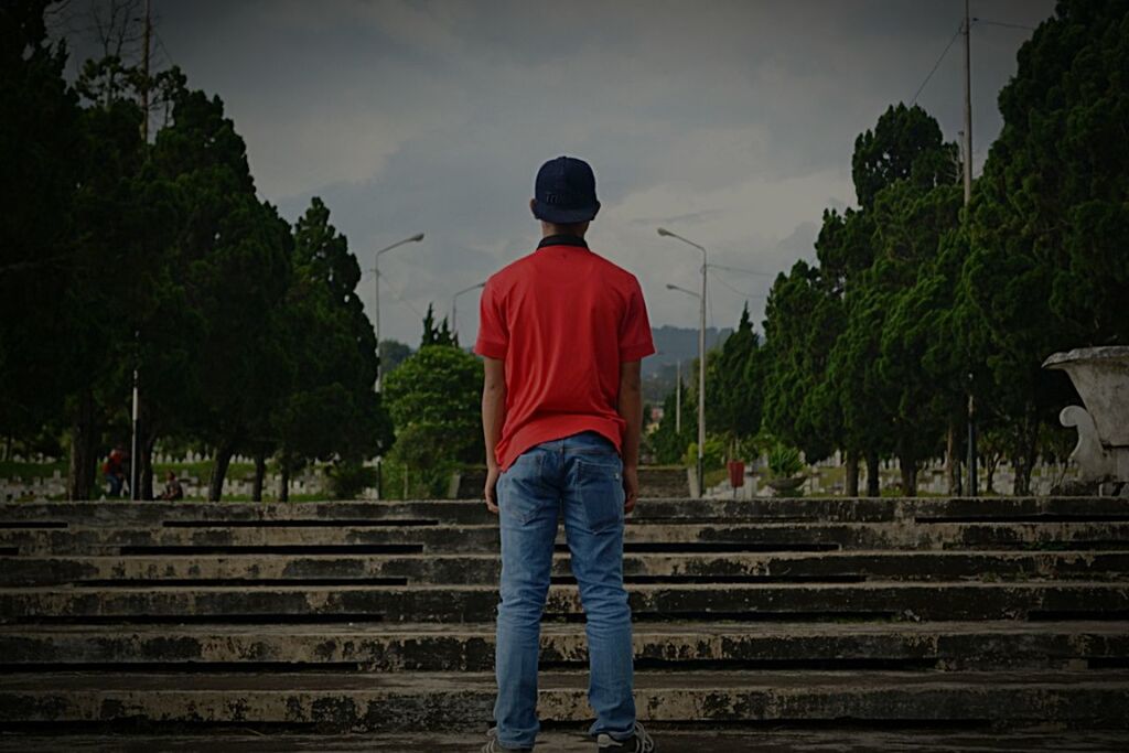 railing, rear view, standing, steps, lifestyles, full length, tree, leisure activity, sky, steps and staircases, men, staircase, casual clothing, person, walking, nature, red, outdoors