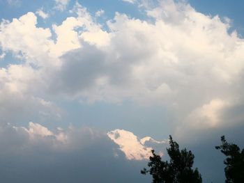 Low angle view of tree against sky