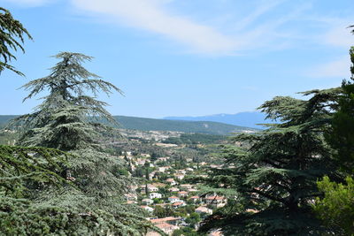 Trees and mountains against sky