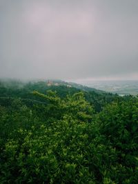 Scenic view of green landscape against sky