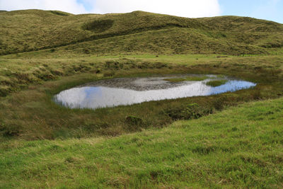 Scenic view of grassy field by lake