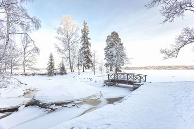 snow