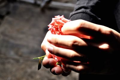 Close-up of cropped hand