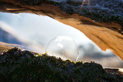 Close-up of crystal ball against trees