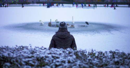 Horse on snow during winter