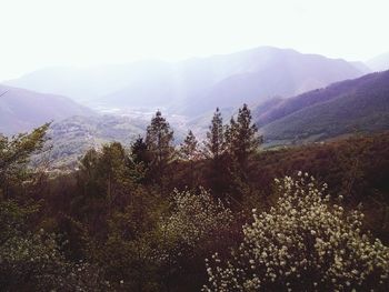 Scenic view of mountains