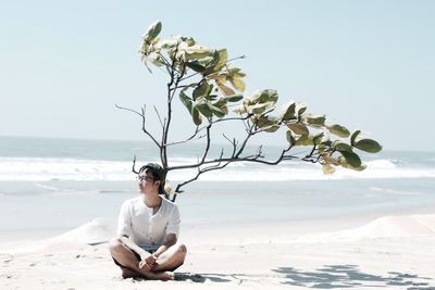 Young man sitting by tree at beach during sunny day