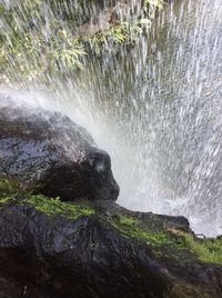 Scenic view of waterfall