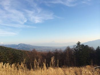 Scenic view of landscape against blue sky