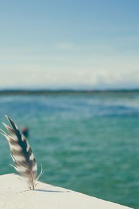 Close-up of a calm sea against the sky