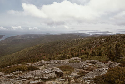 Scenic view of landscape against sky