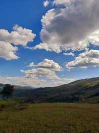 Scenic view of field against sky