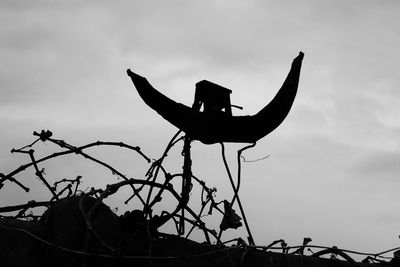 Low angle view of silhouette bird against sky