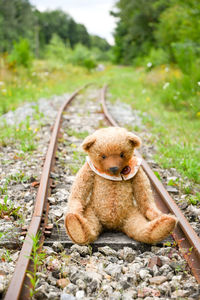 Cute brown teddy bear sits alone on empty mini-rails and looks into the distance