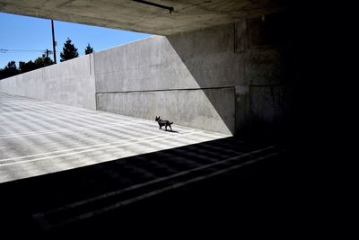 Shadow of woman on wall