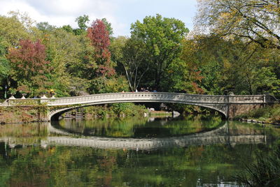 Bow bridge over lake against trees during autumn, central park 