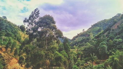 Scenic view of mountains against cloudy sky