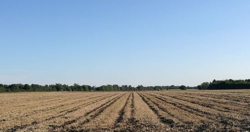 Scenic view of landscape against clear blue sky