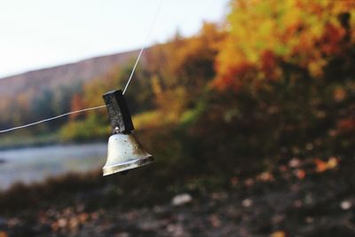 Close-up of metallic object