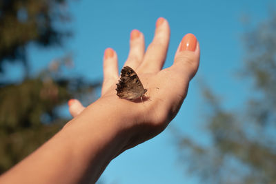 Close-up of hand with butterfly