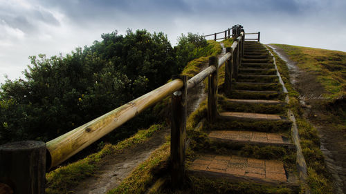 Low angle view of stairs against trees