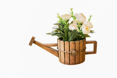 Close-up of flower pot on table against white background