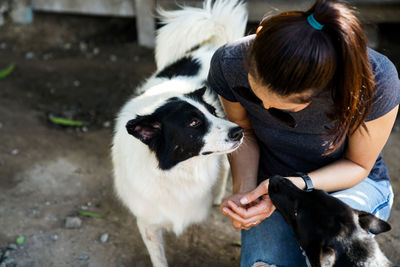 High angle view of woman with dogs