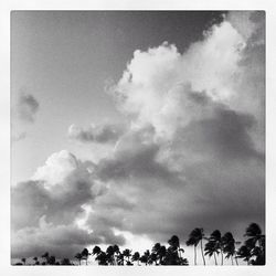 Low angle view of trees against cloudy sky