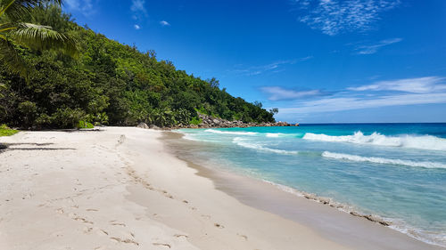 Scenic view of beach against sky