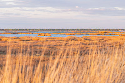 Scenic view of field against sky during sunset