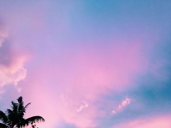 Low angle view of silhouette trees against sky