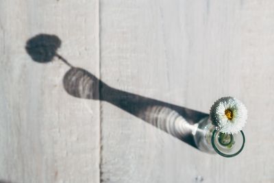 Directly above shot of flower vase on table