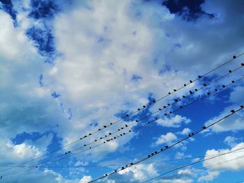 Low angle view of birds flying against sky