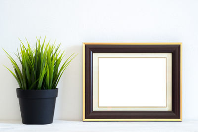 Close-up of potted plant against wall at home
