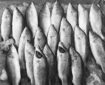 Full frame shot of fish on ice for sale in market