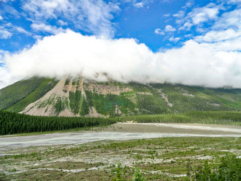 Scenic view of landscape against sky