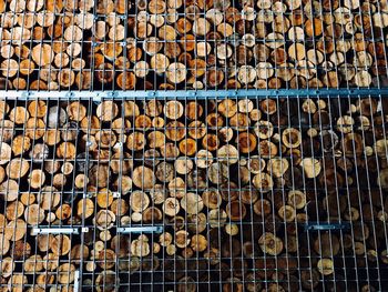 Full frame shot of logs in forest