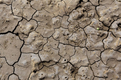 Close-up of cracked land