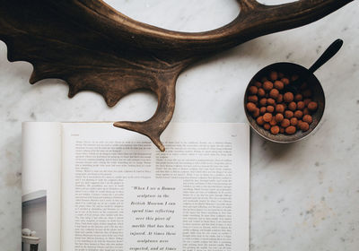 Directly above shot of book by food and antler on floor