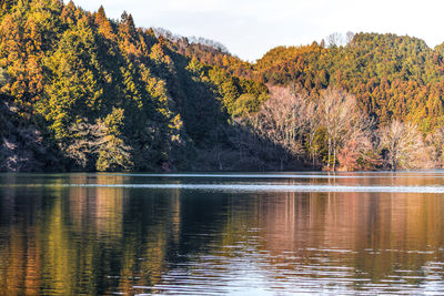 Scenic view of lake by trees during autumn