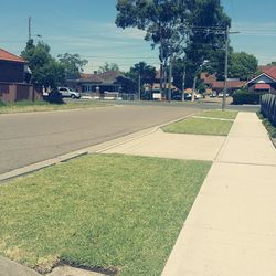 Road along buildings